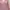 Pink Ethnic Pattern Blouse photo 2