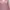 Pink Ethnic Pattern Blouse