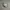 NEW BALANCE 327 GREY photo 2