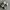 NEW BALANCE 327 GREY photo 4