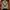 US Army IPFU Training Jacket photo 1