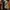 US Army IPFU Training Jacket photo 5
