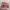 miniso loopy brush set photo 1