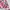 Mini Skirt Tartan Babypink Lace Kawai Vintage Y2k