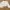 Crop panjang V neck beige  photo 1