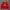 Crewneck Pancoat eye big logo second photo 1