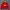 Crewneck Pancoat Eye Big Logo Second