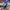 ADIDAS X CP COMPANY ITALIA SPZL , ADIDAS X CP COMPANY ITAL photo 1