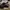 Adidas Adizero SL 2 Running Shoes photo 2