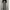 Long pants photo 2