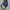 Slingbag TUMI ALPHA BRAVO Kelly nylon photo 2