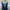 Authentic Burberry Denim Midi Dress photo 8
