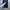 Authentic Burberry Denim Midi Dress photo 4