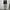 Carpenter jorts pants unknownbrand  photo 2
