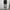 Carpenter jorts pants unknownbrand  photo 3