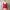 Shein square long sleeve  photo 1