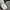 The North Face Gorpcore Sportswear Bag Pria black photo 8