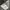 The North Face Gorpcore Sportswear Bag Pria black photo 7