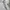 Y2k Goth Grunge emo Beaumere Tee Tribal art photo 4