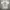 Y2k Goth Grunge emo Beaumere Tee Tribal art photo 2