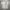 Y2k Goth Grunge emo Beaumere Tee Tribal art photo 1