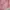 coquette pink celana hotpants photo 3