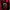 The North Face Sportswear Minimalist Bag Pria red photo 5