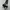 Dickies Cellpocket Skinny Straight photo 3