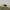SHORT PANTS POLO RALPH LAUREN CELANA CHINO PENDEK CREAM ORIG photo 5