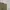 SHORT PANTS POLO RALPH LAUREN CELANA CHINO PENDEK CREAM ORIG photo 2