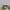 CARGO PANTS ABERCROMBIE CELANA PENDEK HEAVYWEIGHT CREAM ORIG photo 5