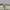 CARGO PANTS ABERCROMBIE CELANA PENDEK HEAVYWEIGHT CREAM ORIG photo 7