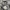 A Vontade (Japanesse Brand) - Chambray Jacket  photo 5