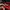 puma speedcat red original  photo 6