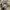 Vintage Polo Ralph Lauren - Flat Cap photo 5