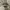 Vintage Polo Ralph Lauren - Flat Cap photo 1