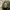 Kangol - Font cap photo 5