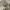 Kangol - Font cap photo 1