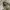 Kangol - Font cap photo 4