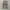 Dickies Cellpocket / Dickies Double Knee / Celana Dickies photo 2