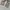 Dickies Cellpocket / Dickies Double Knee / Celana Dickies photo 6