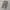 Dickies Cellpocket / Dickies Double Knee / Celana Dickies photo 1