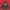 ziphoodie  photo 1