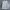 MLB Sportswear Casual Sweatshirt Pria White