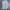 MLB Sportswear Casual Sweatshirt Pria white photo 2