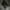 Sepatu Second Pria Converse Chuck Taylor All Star Street mid photo 4