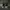Sepatu Second Pria Converse Chuck Taylor All Star Street mid photo 5