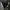 Sepatu Second Pria Converse Chuck Taylor All Star Street mid photo 7