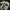 VANS ERA 95 DX FEAR OF GOD WHITE BLACK photo 9