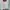 Streetwear Sportswear Sweatshirt Pria white photo 4
